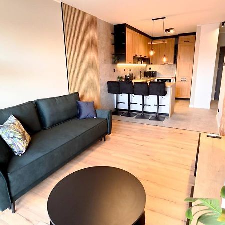 Cisza Przy Lodzkiej By Rentoom Apartment Torun Luaran gambar